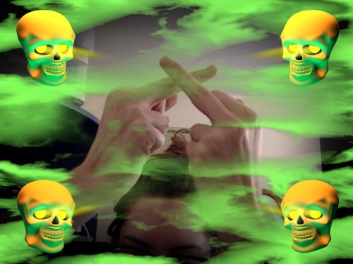 herpy herlowern