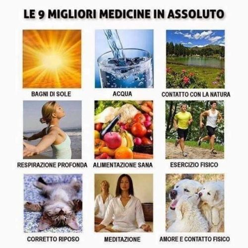 Le persone felici…
vivono con poco, dicono la verità,
non s'inventano scuse, si prendono il tempo per ascoltare,
non portano rancore, parlano bene degli altri,
scelgono gli amici saggiamente,
riescono a controllarsi, sognano in grande,
vedono i...