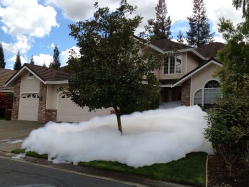 chirotus:  geekgirlsmash:  spookyaddiction:  motherfuckingurl:  powerviolent:  A CLOUD FELL?  Snow?  that is bubble soap. someone has made a tragic mistake  Let me tell you a story. My mom had a hot tub, she traded a refrigerator for it. One day the water