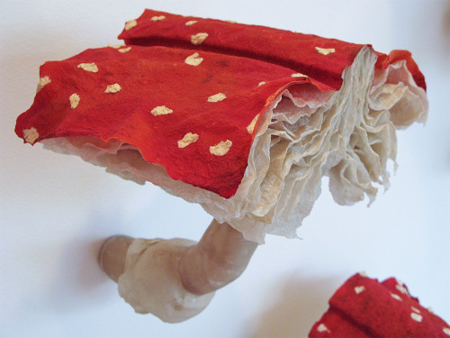 archiemcphee:  Look closely, these frilly mushrooms are made of books. Although they look like something Alice might’ve encountered during her adventures in Wonderland, they’re the creation of Chicago-based visual artist Melissa Jay Craig. Entitled