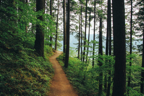 thenorthwestexplorer: Pool of the Winds Location: Hamilton Mountain, WA Date: May 25th, 2014