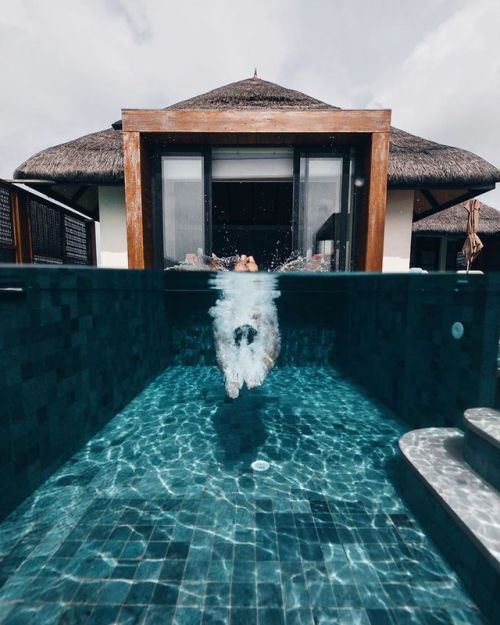 from @aquatech_imagingsolutions. Dives in the pool at the ocean front villa. // @nolanomura using th