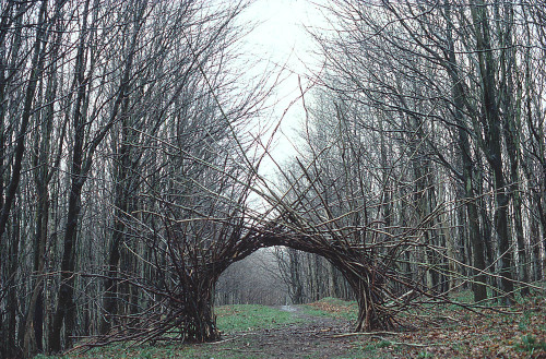 wetreesinart:Andy Goldsworthy (Brit., born 1956), Woven branch arch, Langholm, Dumfriesshire, April 