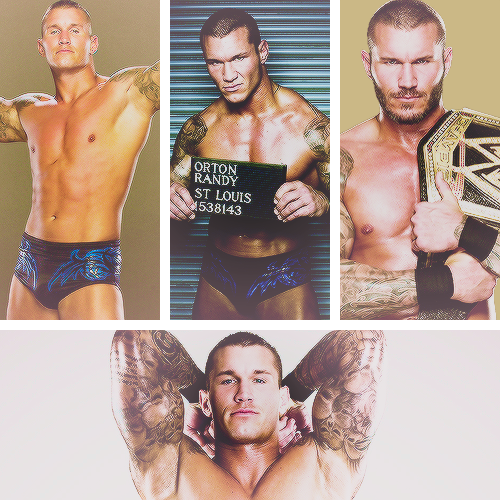 theprincethrone-deactivated2016:  Randy Orton adult photos