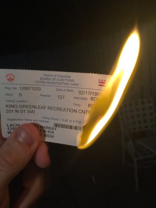 freexcitizen:  tiffanarchy:  chikadee:  micdotcom:  Republicans burn their voter ID cards to protest Trump Trump is the presumptive GOP nominee and that prompted some ex-Republicans to set their voter identification cards on fire. Meanwhile, others posted