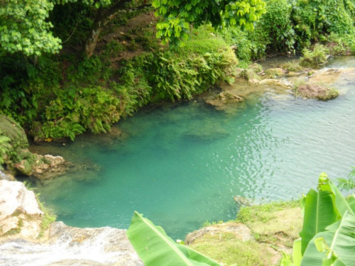 c-oconutoceans:  oc-ean-dreams:  la-seriene:  serene-dream-s:  vanuatu~  ☀ tropical blog ☀   ☽ ☼ ☾☮a