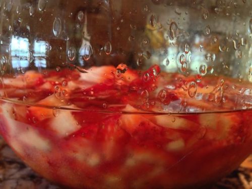 theheatofthesouth:theheatofthesouth:  1. First cut up some strawberries and soak em in vodka for as long as you can bear to wait (if you do it overnight it’s even better) 2. Then add some lemonade.  3. Stir and serve with mint.  4. Be drunk.  Y’all