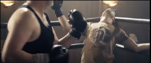 bears-muscle-boxing: A young punk comes into a boxing gym and ridicules an older man training in the