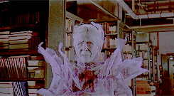 Ghost Busters (USA, 1984)