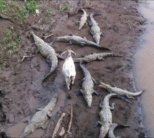 beggars-opera: “Yea, though I walk through the valley of the shadow of death…”  