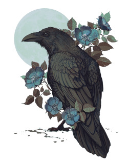 n7d5ty:  Really beautiful crow/raven art. 