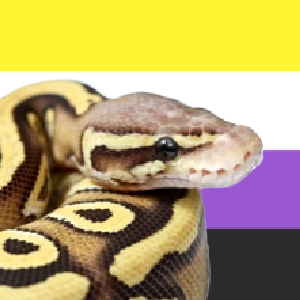 boa vs python lesbians