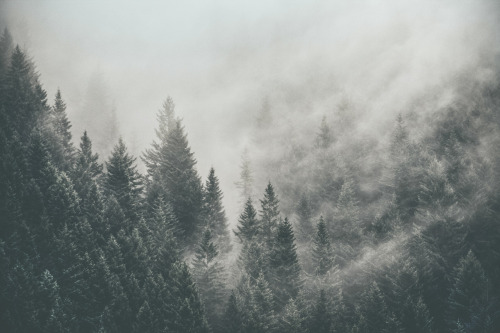 tidalweaves:  thisiswander:  Luke GramBritish Colombia, CanadaCanon 5D Mark II What other parts of the world would you like to visit besides where you live? Hard question. I mean, everywhere really. But more specifically at the top of my list are Africa,
