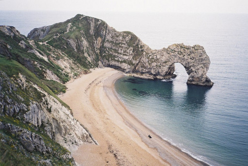 tangledleaves:  (by Aage Drake) 
