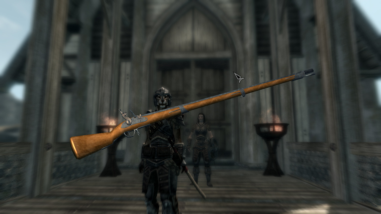 skyrim se gun mod