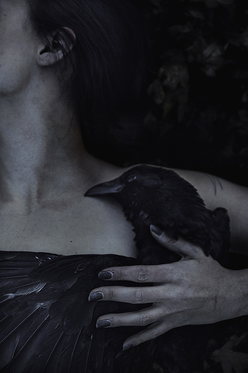 elenahelfrecht:  elenahelfrecht:  Arise.Model: Amaryllis FacebookWebsite   Today I reworked the colours a bit.