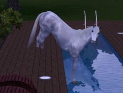tastytexan:  simsgonewrong:  the horse literally stayed there for like 6 days like that until it finally died  its reflection 