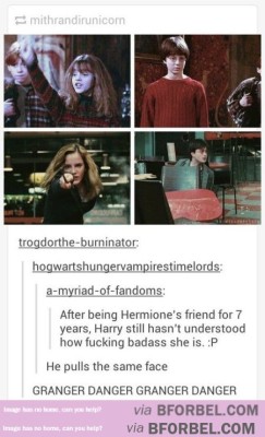 itsstuckyinmyhead: The Fandom That Lived 