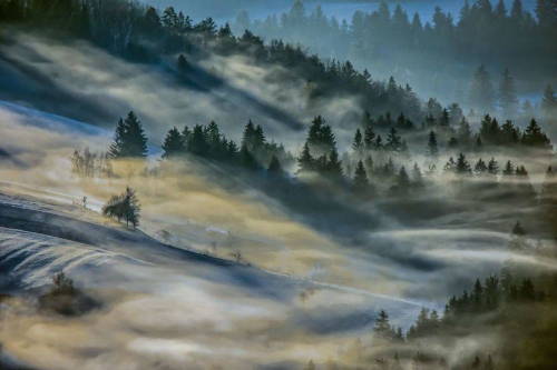 five-guns-days:   landscape-photo-graphy :Photographer Captures the Poetic & Enigmatic Beauty of the Slovenian Forest Slovenian photographer Filip Eremita has devoted his time in capturing the Slovenian forest and its majestic tranquility and wisdom.