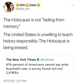 musingsdeme: So I’m a historian who works particularly on the relationship between trauma, national memory, and childhood.  The focus of my research is not the Holocaust, but it’s a subject upon which I’ve taught, mused, written, and examined. 