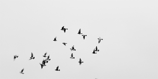 killbilled:Power resides where men believe it resides. It’s a trick. A shadow on