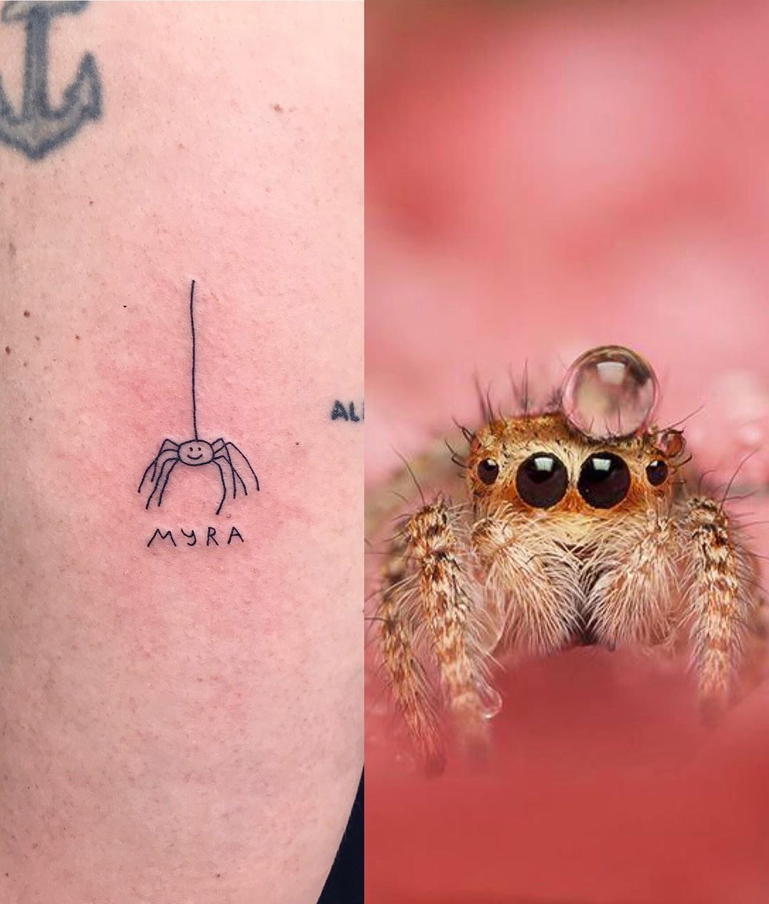 Deepwood Tattoo Spider Dangerous Cute Ant Tattoo Pa I