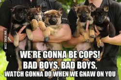 9gag:  Bad boys