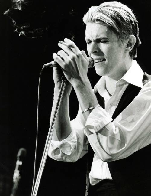 THE THIN WHITE DUKE