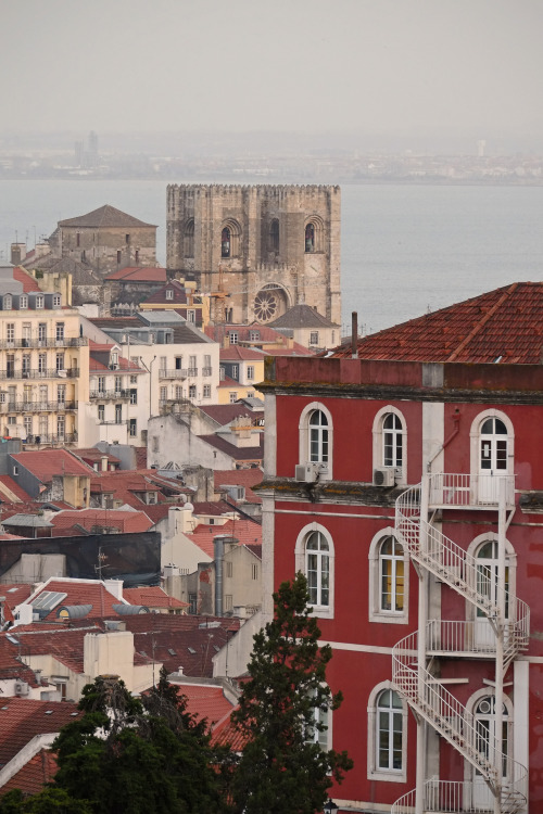 scavengedluxury:Lisbon, March 2015.