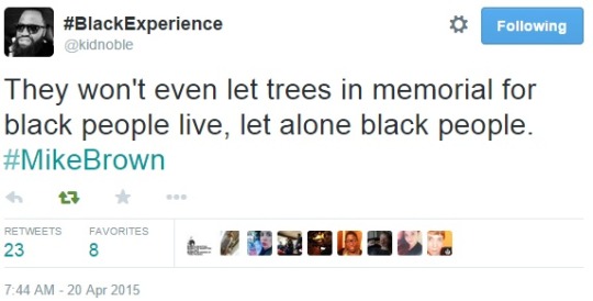 XXX A tree planted on Saturday in Ferguson in photo