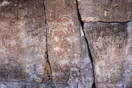 ER Petroglyphs, NV