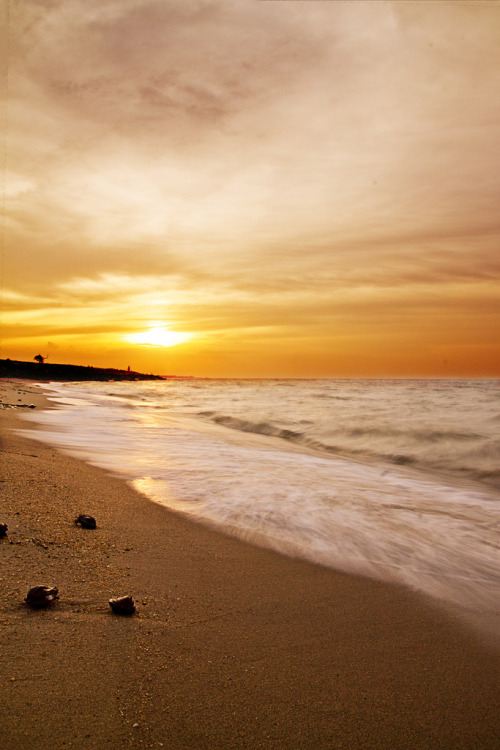 disminucion:  The beach’s breeze 