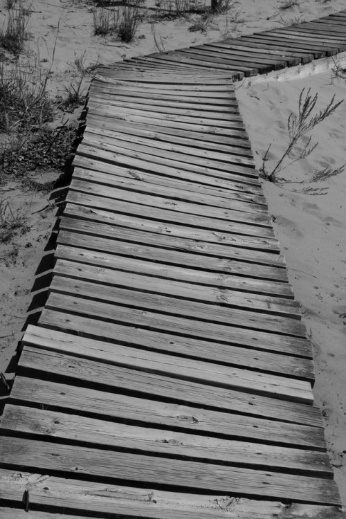 Road to nowhere, Wisonsin sand dunes