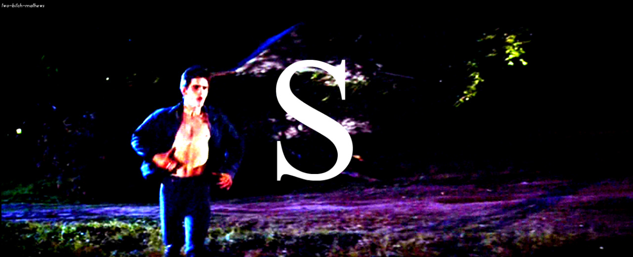 two-bitch-mathews:  The Outsiders   “Easy, buddy, easy,” I heard him say softly,