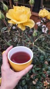 thestateofspirit:There’s a yellow rose in my garden 💛