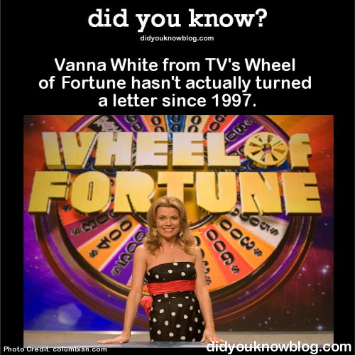 did-you-kno:  Vanna White from TV’s Wheel of Fortune hasn’t actually turned a