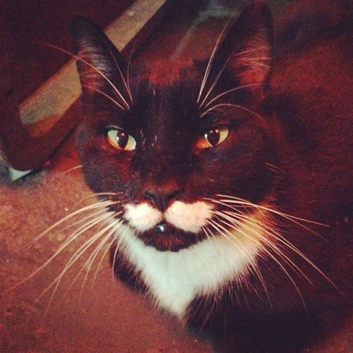 👨