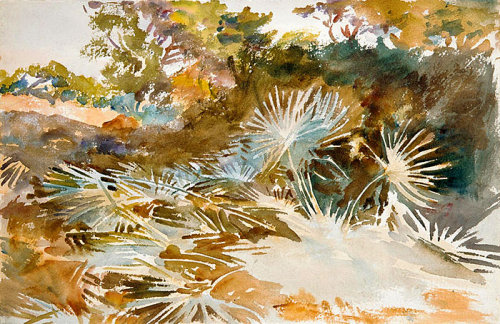 Landscape with Palmettos   -    John Singer Sargent American,   1856-1925Watercolor and graphite on 