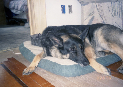 1995-1998