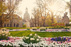 allthingseurope:  Spring in Dresden (by Sabine