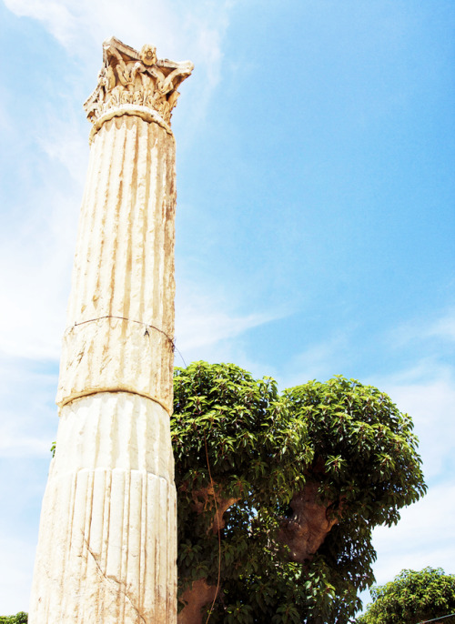 juliacaesaris:ancient history meme || cities [¾]Caesarea was a Romanized city of Mauretania, in mode