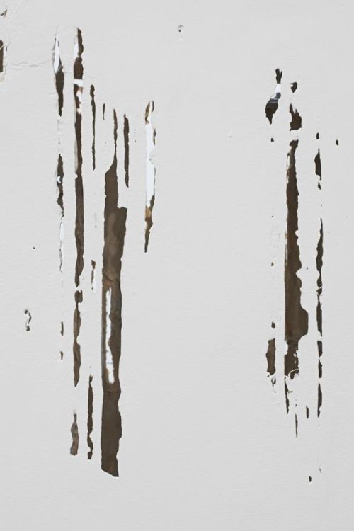 uvre:Diana Al-Hadid