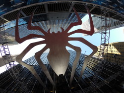 theamazingspiderman:  Watch The Amazing Spider-Man