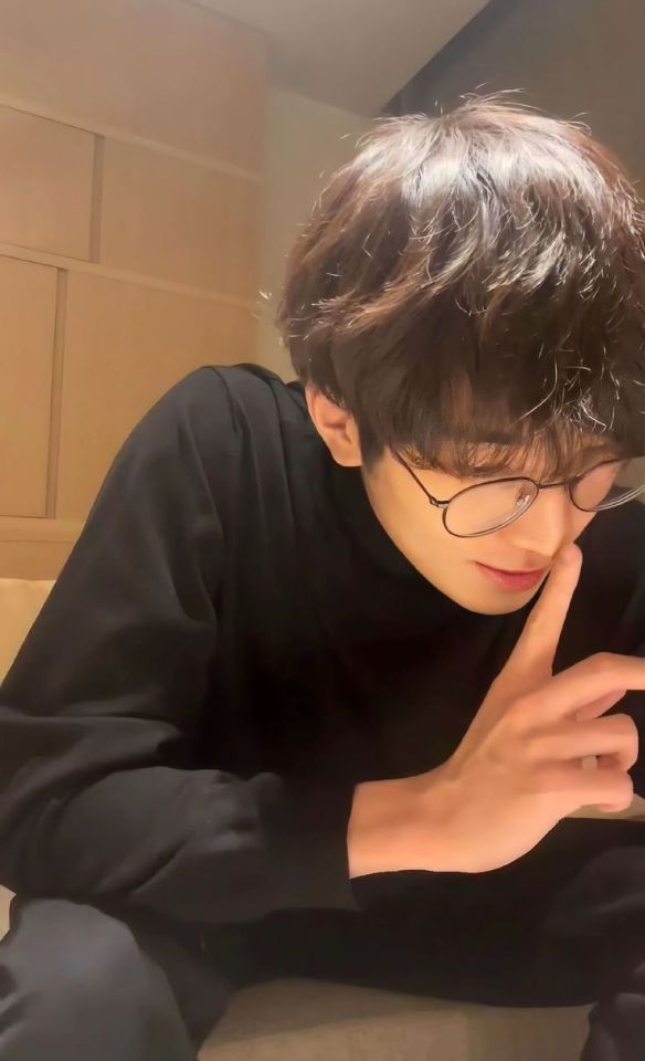 Make A Wish - Wonwoo X Fem!reader Blurb