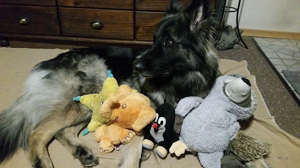 Too many toys. ?