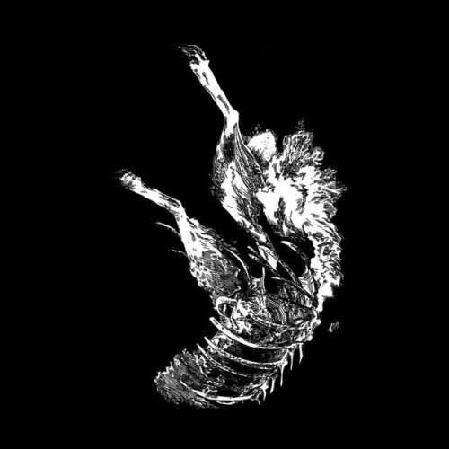 fuckyeahtshirts:Julia Gfrörer is releasing a new t-shirt design every day for the whole month of Oct