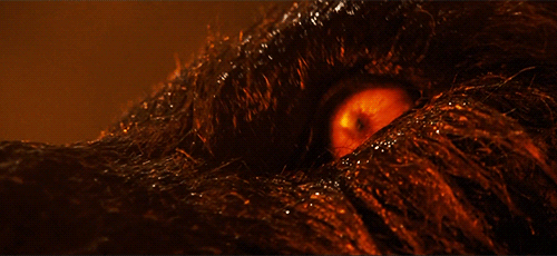 theyearofthewolf:“See, my dad taught me tonight is about respecting the dead because this is the one