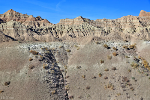 Badlands National Park South Dakota