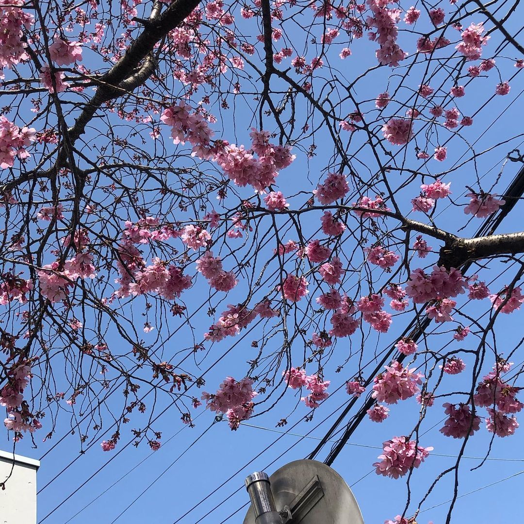 雨龍図 Explore Tumblr Posts And Blogs Tumgir 雨龍図 Explore Tumblr Posts And Blogs Tumgir