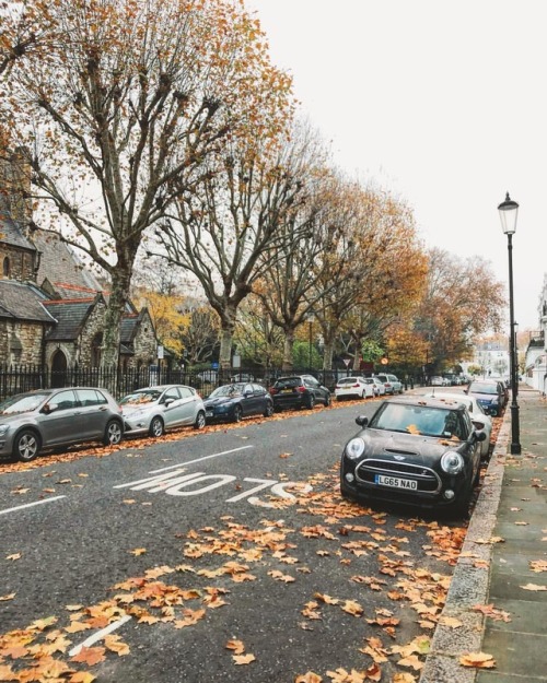 Morning walks to work  . . . #London #autumn #walks #England #UnitedKingdom #Explore #Europe #photog